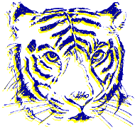 痂����Ղ�I��!